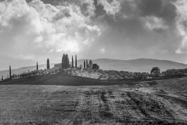 Szary obraz z toskańskim pejzażem