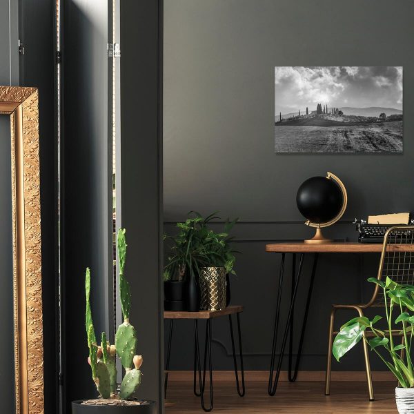 Obraz w szarościach z widokiem na winnicę