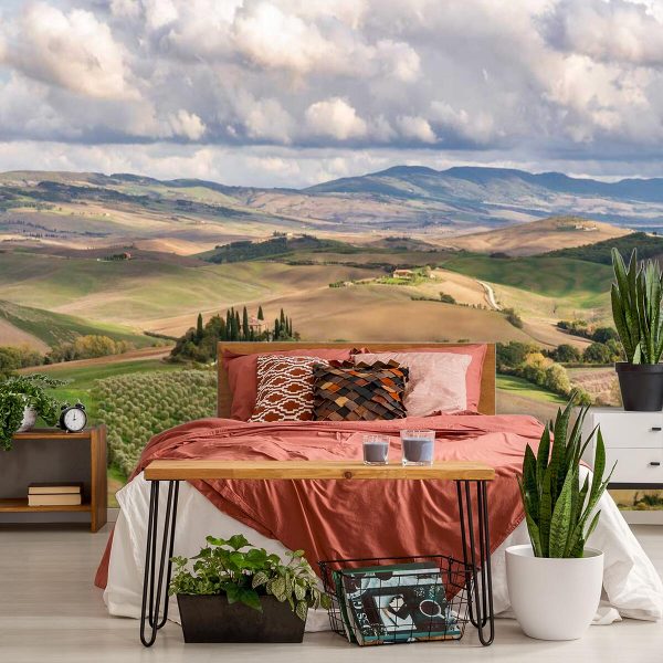 Tapeta winnica na wzgórzach