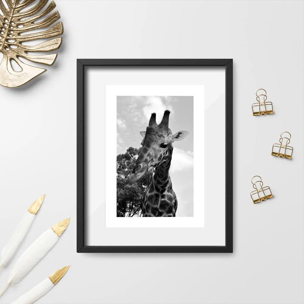 Szary plakat z żyrafą