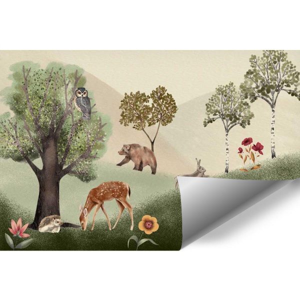 Bajkowa Polanka -fototapeta dziecięca