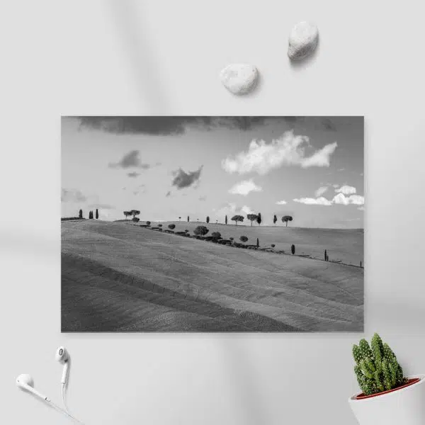 Obrazy toskańskie plenery