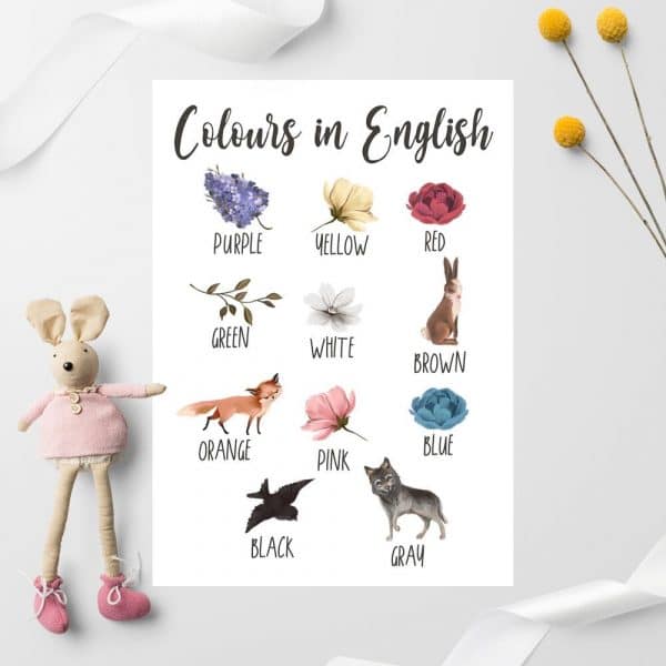 Edukacyjny plakat dziewczęcy z kolorami