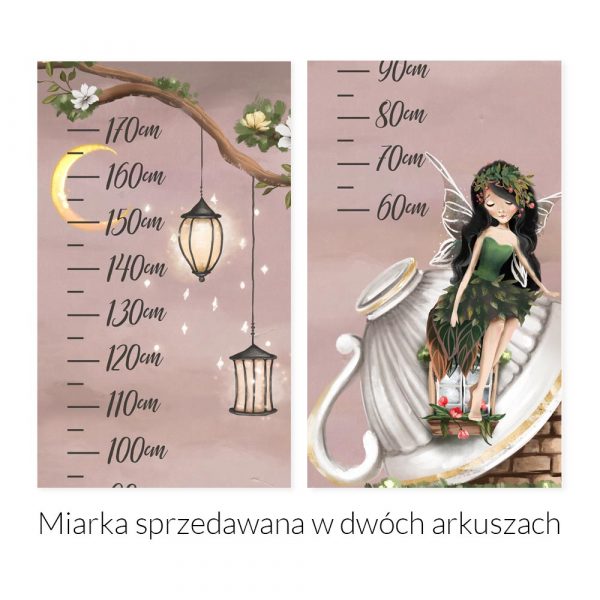 Miarka wzrostu - Wieczór w lesie