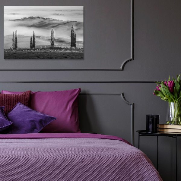 Obraz aleja cyprysów we mgle