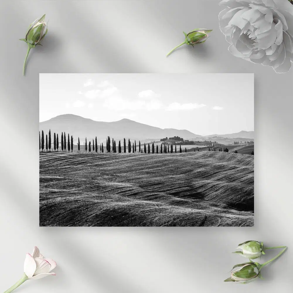 Czarno-biały obraz z pejzażem do pokoju