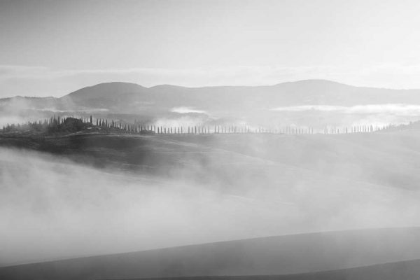 Czarno-biały obraz z pejzażem