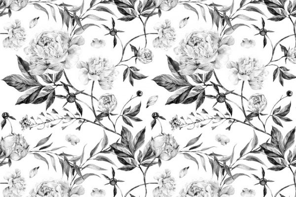 Fototapeta z piwoniami