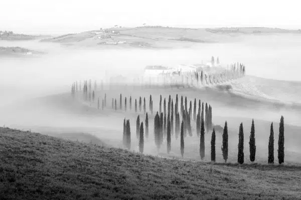 Czarno-biały obraz z krajobrazem