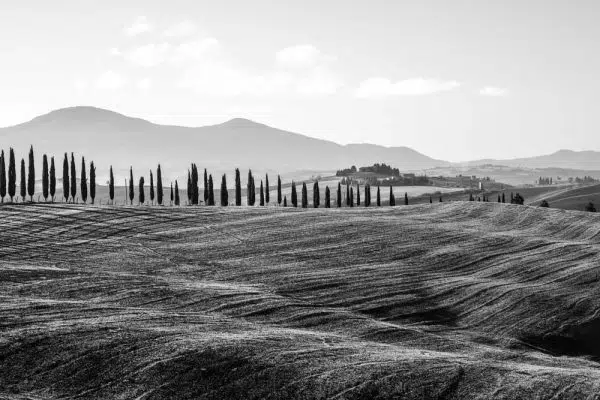 Czarno-biały obraz z pejzażem