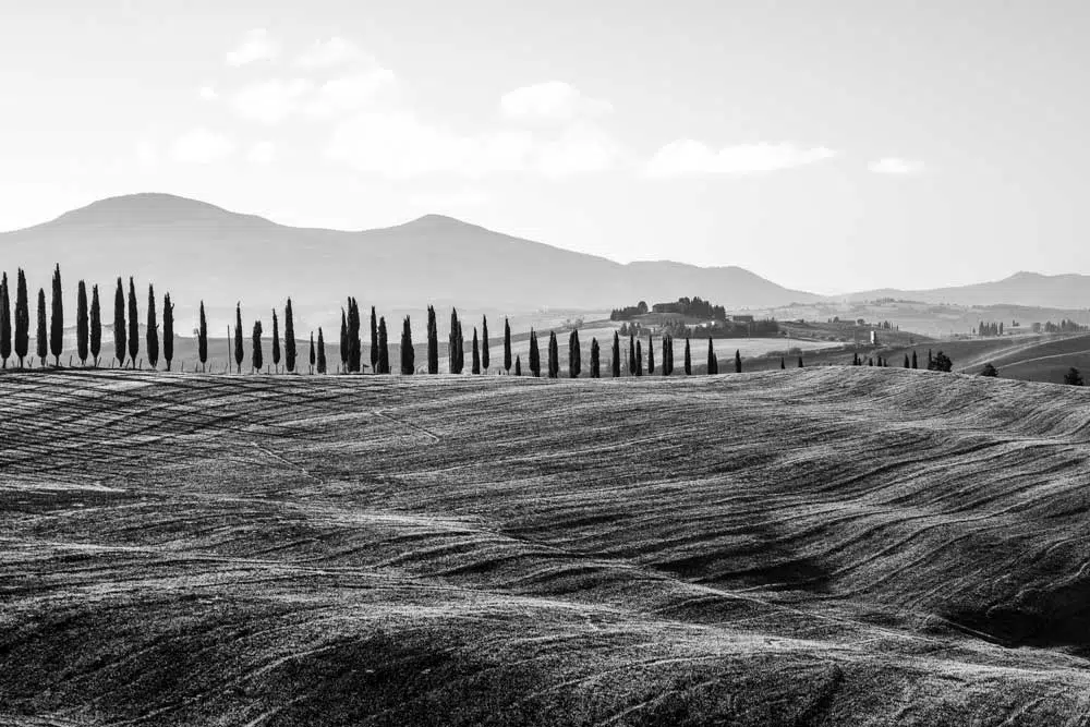 Czarno-biały obraz z pejzażem