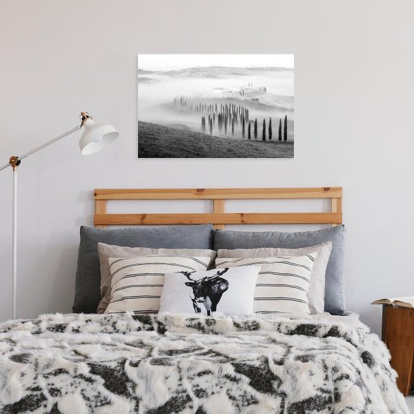 Czarno-biały obraz z krajobrazem do przedpokoju