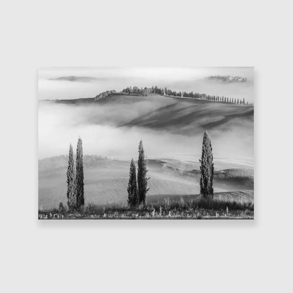 Obraz z motywem mgły do pokoju