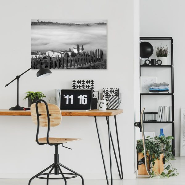 Szary obraz z widokiem na plantację oliwek