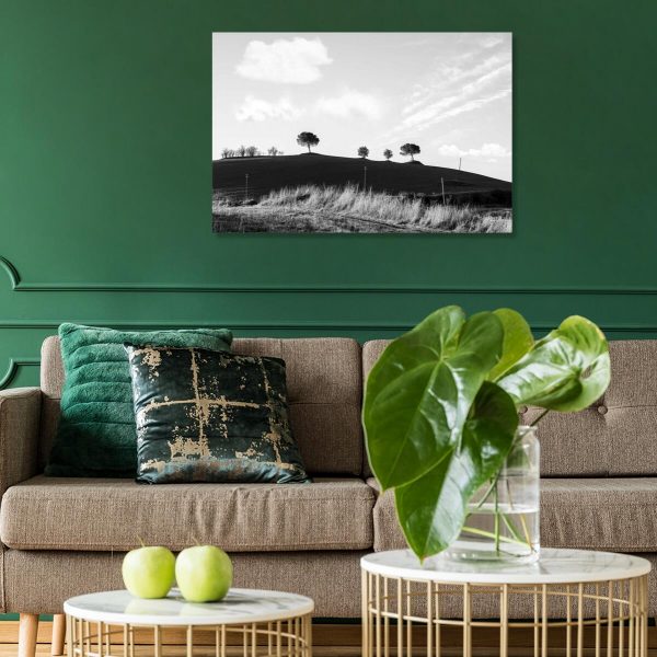 Szary obraz z drzewami