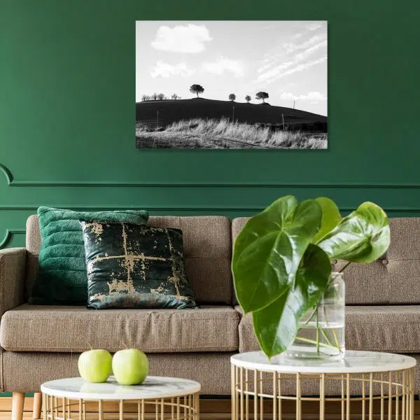 Szary obraz z drzewami