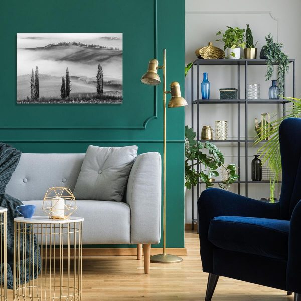 Obraz z motywem mgły do salonu