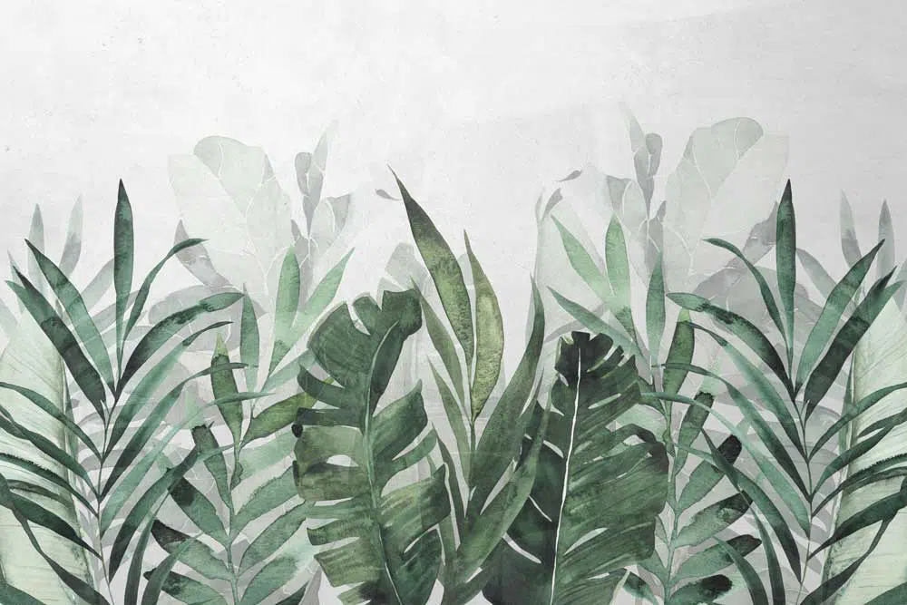 Fototapeta z egzotyczną kompozycją