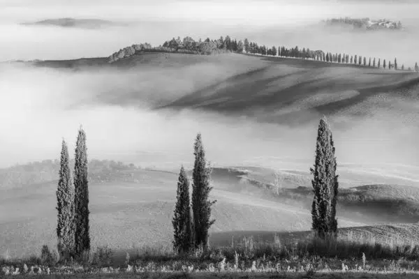 Obraz z motywem mgły