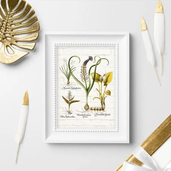 Botaniczny plakat z hiacyntem do przedpokoju