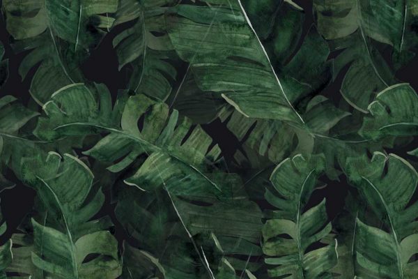 Fototapeta zielone liście do upiekszenia salonu