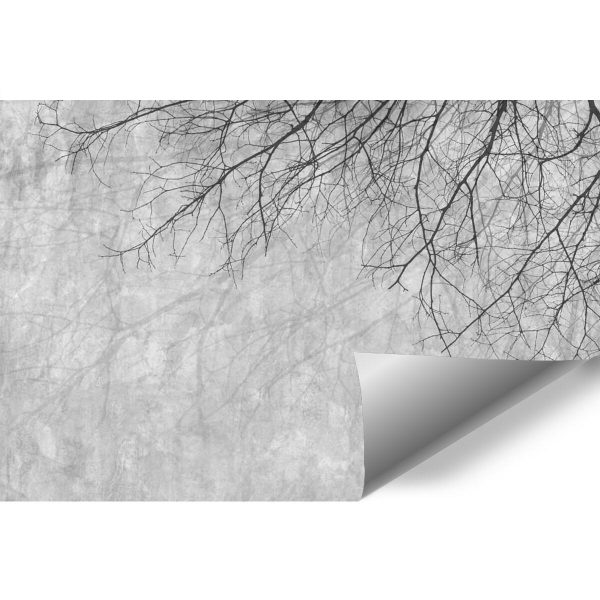 Gałęzie i popiel - fototapeta