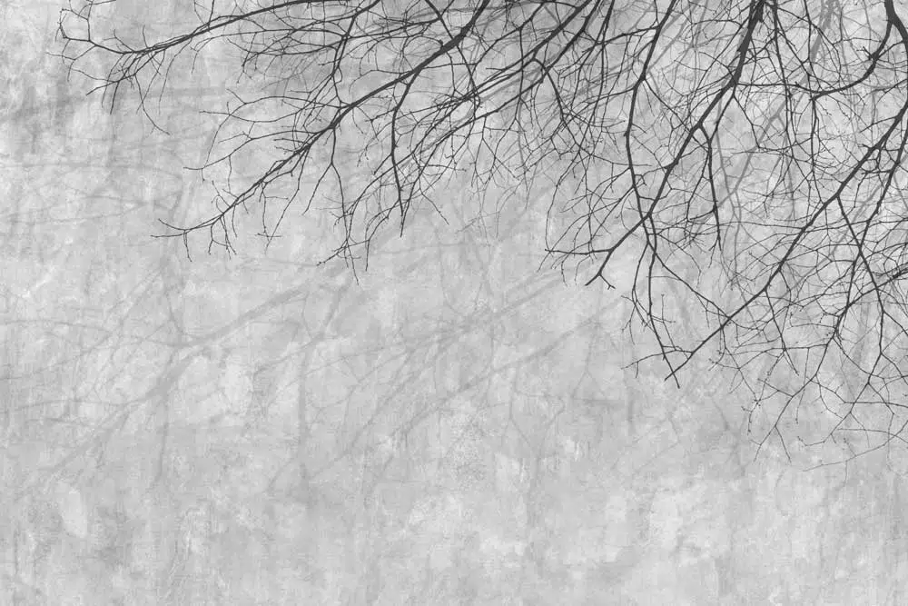 Tapeta z gałęziami drzew