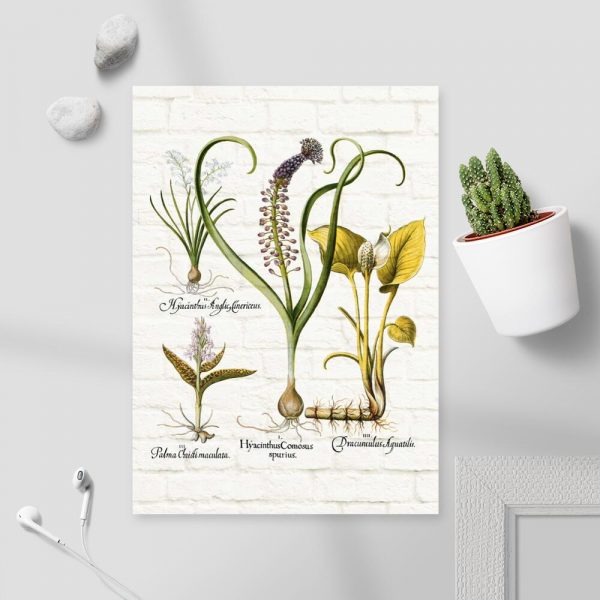 Botaniczny plakat z hiacyntem do pokoju