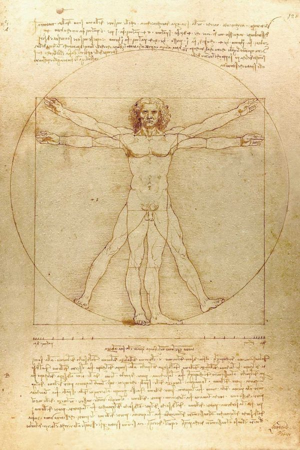 Fototapeta inspirowana Leonardo da Vinci