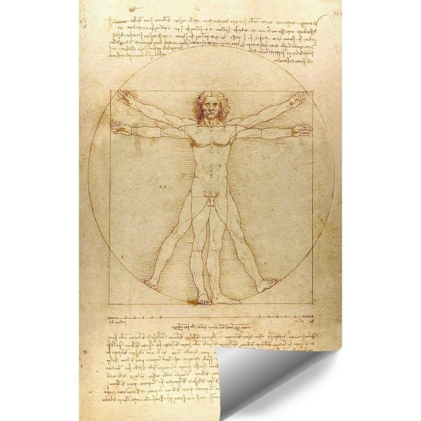 Fototapeta inspirowana Leonardo da Vinci do klubu