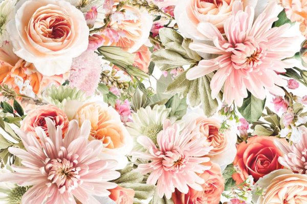 Fototapeta kwiaty ogrodowe