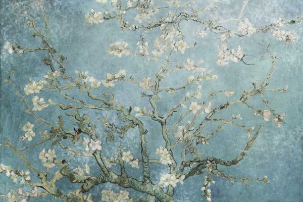 Fototapeta z reprodukcją - Vincent Van Gogh do biura