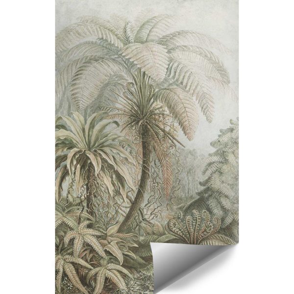 Tapeta z prehistorycznymi drzewami do przedpokoju