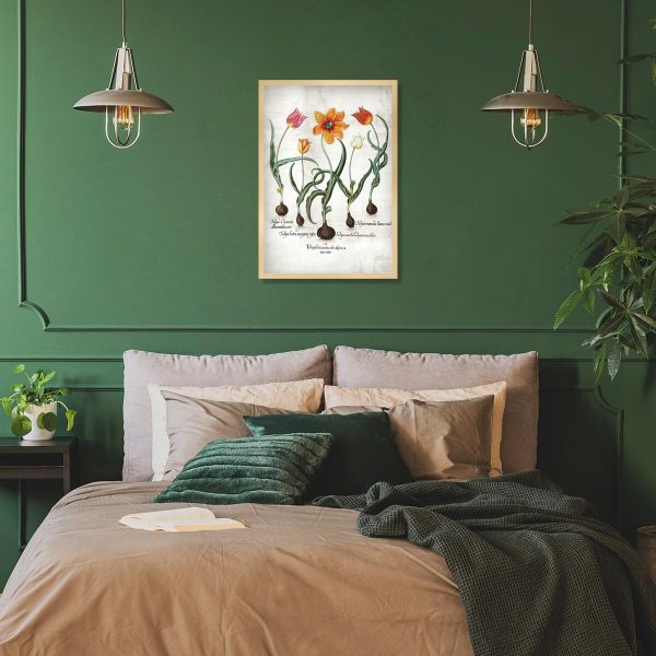 Botaniczny plakat - Ogniste tulipany do salonu