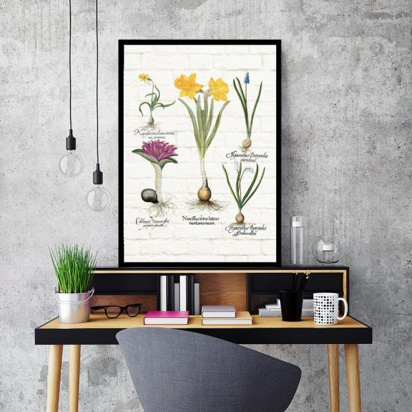 Botaniczny plakat z niebieskim szafirkiem do biura