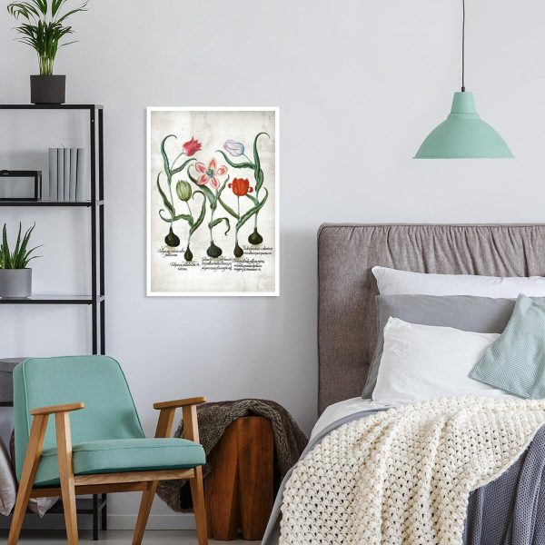 Czerwone tulipany - Plakat dla florysty do pokoju