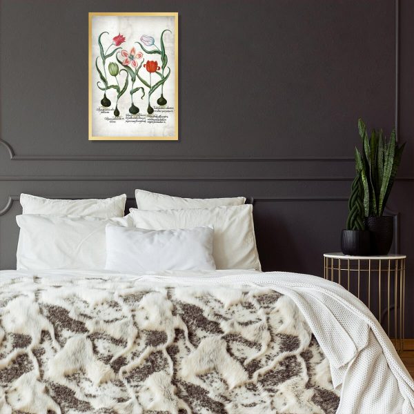 Czerwone tulipany - Plakat dla florysty do sypialni