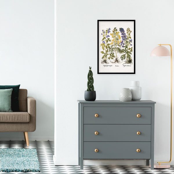 Edukacyjny plakat botaniczny - Tojad na przedpokój