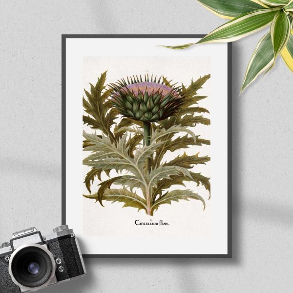 Karczoch na plakacie