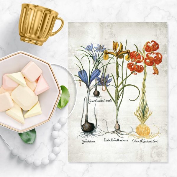 Kolorowy plakat z motywem kwiatowym