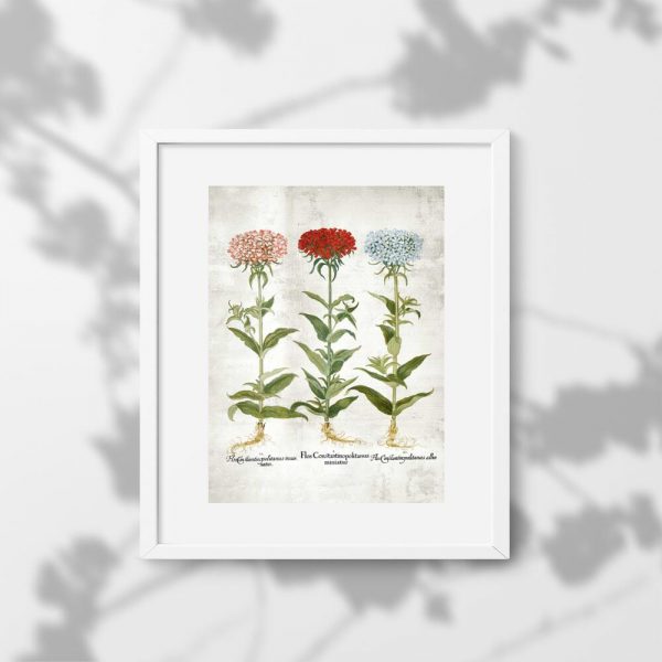 Kwiaty ogrodowe na plakacie