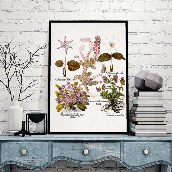 Plakat botaniczny z kwiatami ogrodowymi do gabinetu