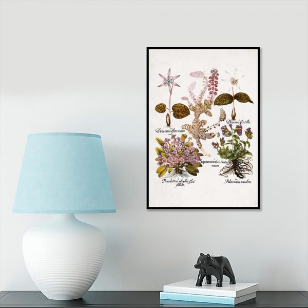 Plakat botaniczny z kwiatami ogrodowymi na przedpokój