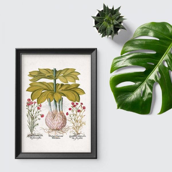 Plakat czerwone kwiatuszki i lilia