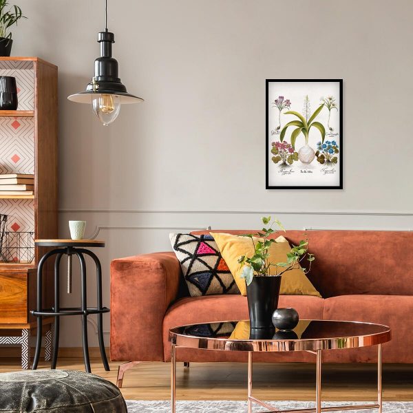 Plakat dla florysty - Cebulica biała do salonu