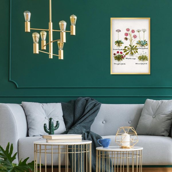 Plakat dla florysty - Czerwona stokrotka do salonu