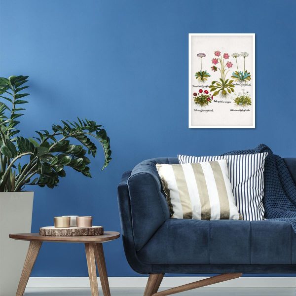 Plakat dla florysty - Czerwona stokrotka do sypialni