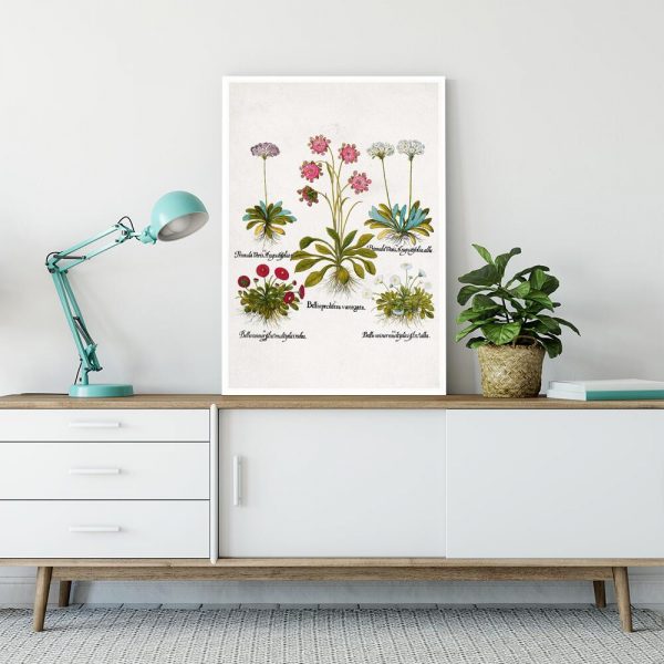 Plakat dla florysty - Czerwona stokrotka na przedpokój