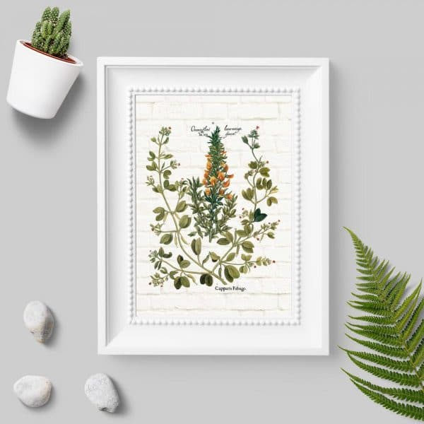 Plakat do kuchni z przyprawami