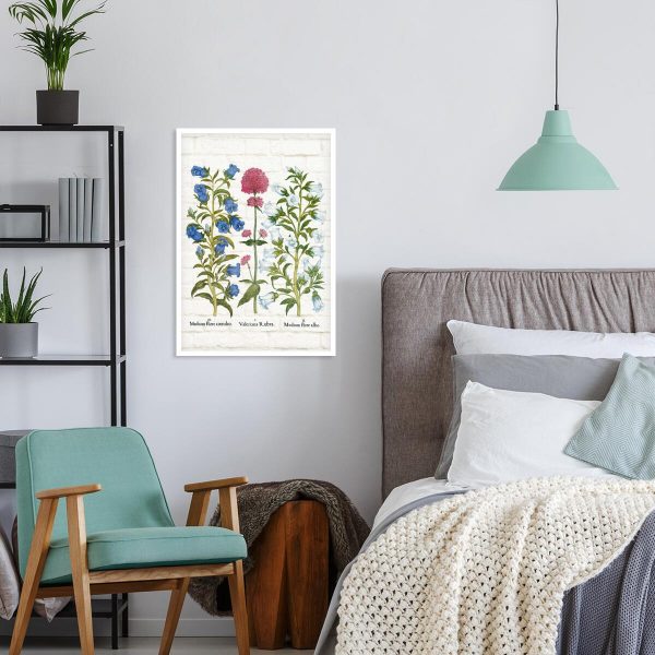 Plakat dydaktyczny z ostrogowcem czerwonym do salonu